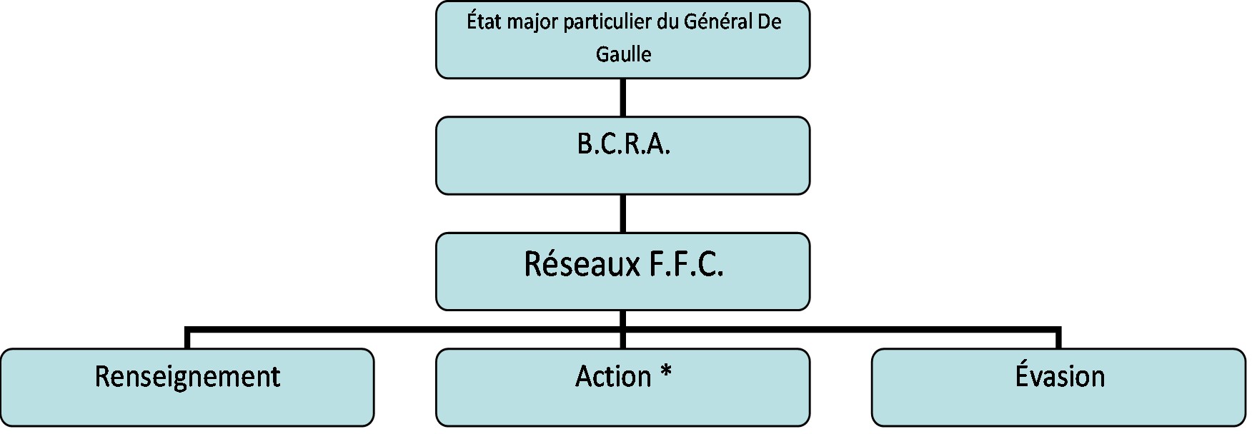 Organigramme réseaux